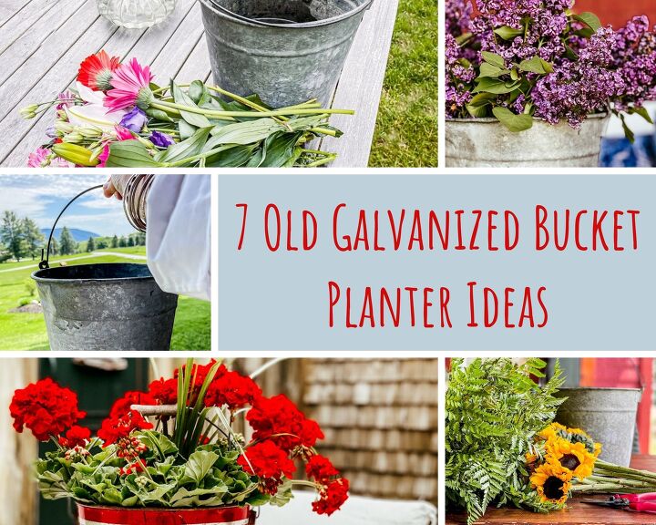7 old galvanized bucket planter ideas
