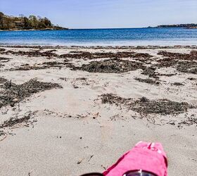 How they prepared their coastal Maine home for an unforgettable season