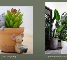 cheap ways to make home look expensive, Fake plants vs real plants