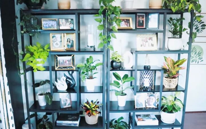 How to style a plant wall