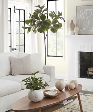 Organic modern design