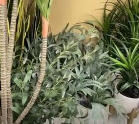 home decor stores, Realistic looking faux plants
