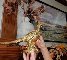 Gold pheasant