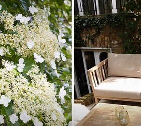 notting hill interior design, Garden flowers and seating area