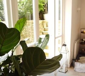 notting hill interior design, Plants by the window