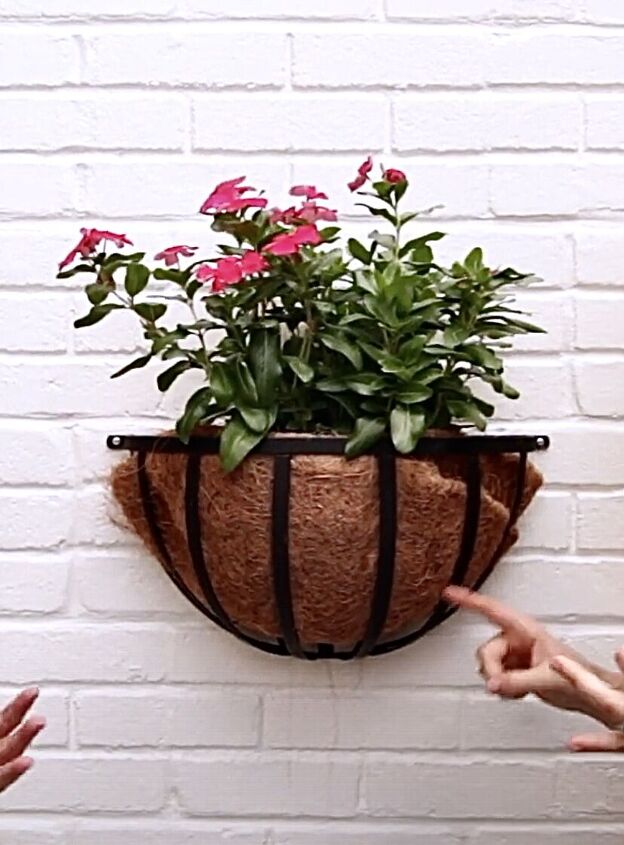 outdoor courtyard, DIY coconut liner