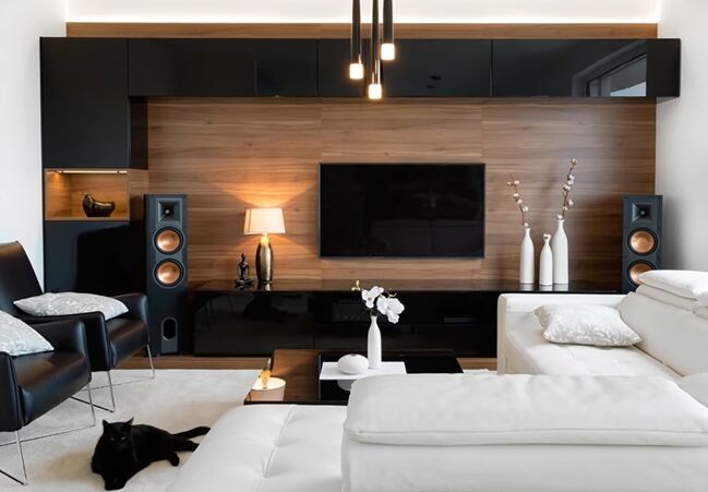 The wall with the TV as an accent wall