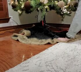 cozy christmas decor, Laying out the Christmas tree skirt