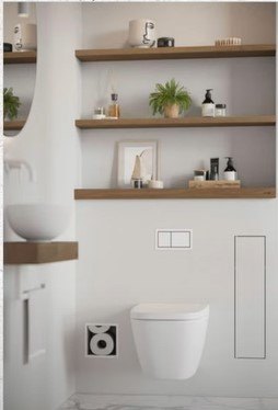 Shelves above the toilet
