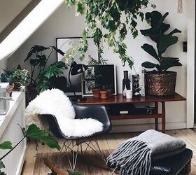 Green plants in a room