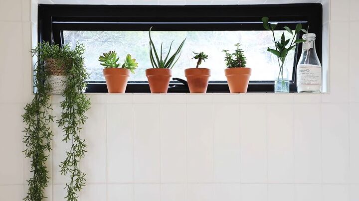 Window ledge with plants