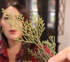 christmas decorate with me, Greenery stems