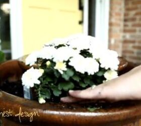 White flowers in a plant pot