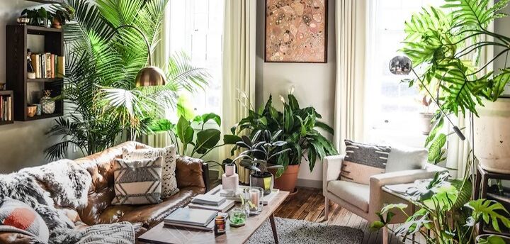 how to decorate boho, Living room with plants