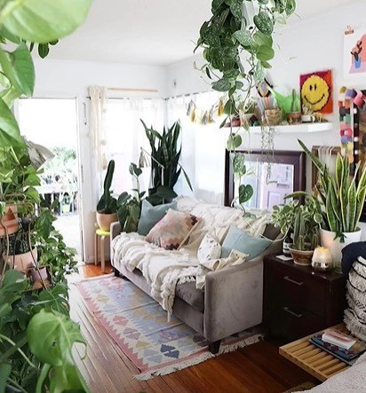 how to decorate boho, Home with hanging plants