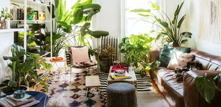 how to decorate boho, Plant filled home