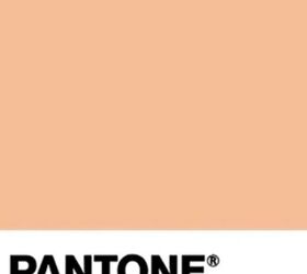 interior design trends 2024, Pantone 2024 Color of the Year Peach Fuzz
