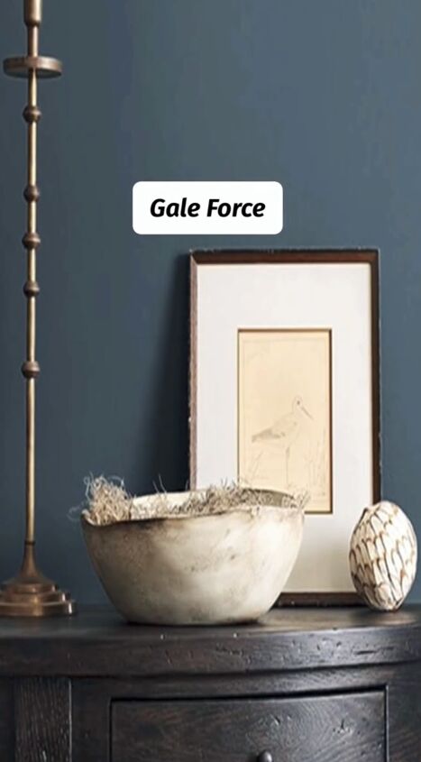 sherwin williams 2024 color of the year, Gale Force