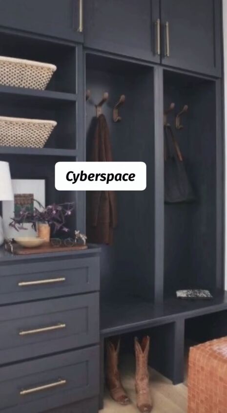 sherwin williams 2024 color of the year, Cyberspace