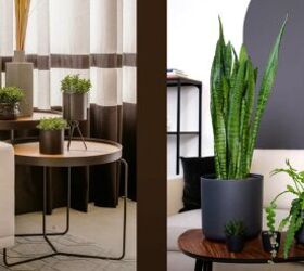 8 Top Tips for Decorating With Plants in Your Home
