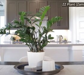 How to decorate with plants