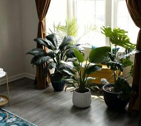 eclectic glam, Live plants in a bay window