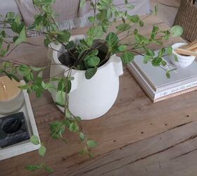Coffee table style with a plant, books, and a tray