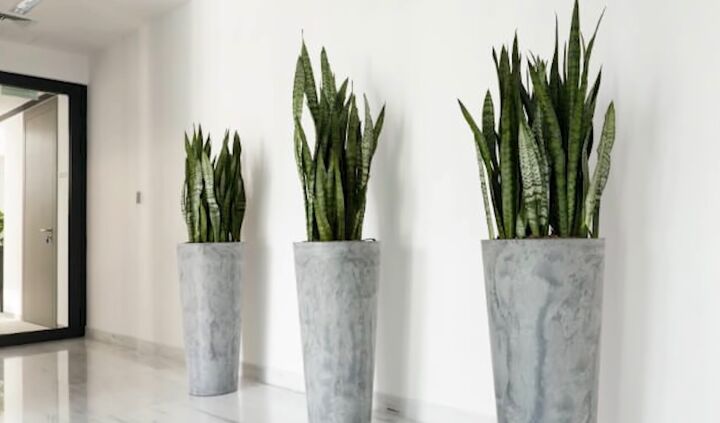 6 Functional & Beautiful Entryway Design Ideas | Redesign