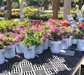front porch decor for spring, Plants at a plant nursery