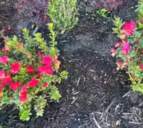 front porch decor for spring, Pops of color with pink roses