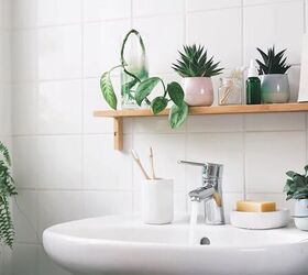 Using plants in a bathroom