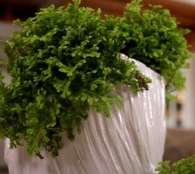 How to Use Moss to Make a Cute Spring Table Arrangement