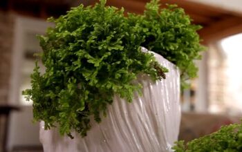 How to Use Moss to Make a Cute Spring Table Arrangement