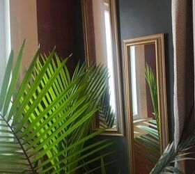 afro boho living room, Palm plant with a mirror