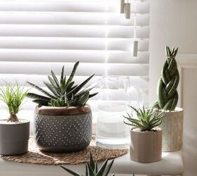 Houseplants are lovely—but don&#39;t put them in these 5 places