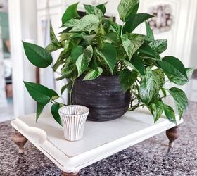 The reasons houseplants belong in your home might surprise you, but we completely agree