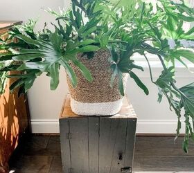 Wellness experts and designers agree: Every home needs more of this