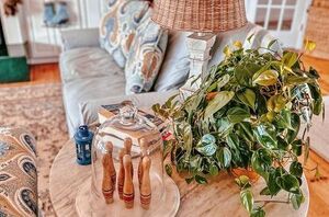 The lovely decor item that adds WAY more to the room than just beauty (no wonder everyone is obsessed!)