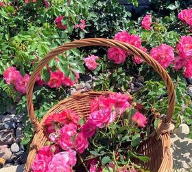 Instead of putting flowers in a vase, she places her flowers in THESE