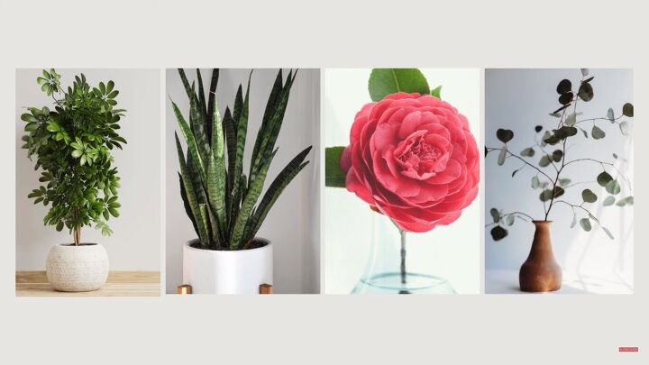 8 Steps to a Living Room You'll Love: Function, Flow & Cozy Vibes ...
