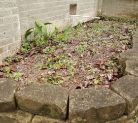 from blah landscape to perfect curb appeal in one day