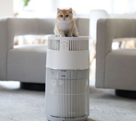Transform Your Home Into a Pet-Friendly Haven With the Wisesky W-Cat