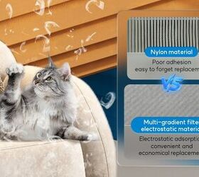 transform your home into a pet friendly haven with the wisesky w cat