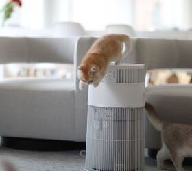 transform your home into a pet friendly haven with the wisesky w cat