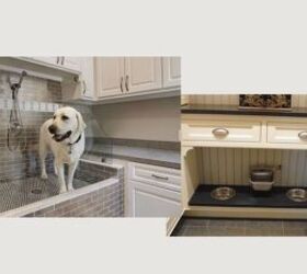 how to design a home for pets people