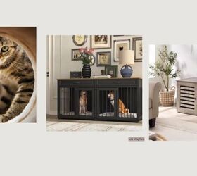 how to design a home for pets people