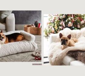 how to design a home for pets people