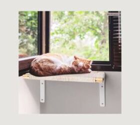 how to design a home for pets people