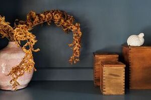 We all have a bookshelf but we don't all know how to style it. Here are the 5 must-see tips!