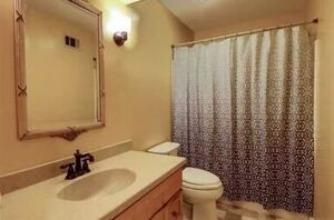 This bathroom used to be such a headache, and now it's beautiful!